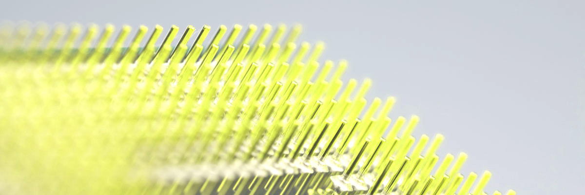 PROI Patent & Trademark Attorneys